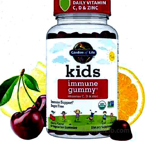 Garden of Life Kids Immune Support Gummies