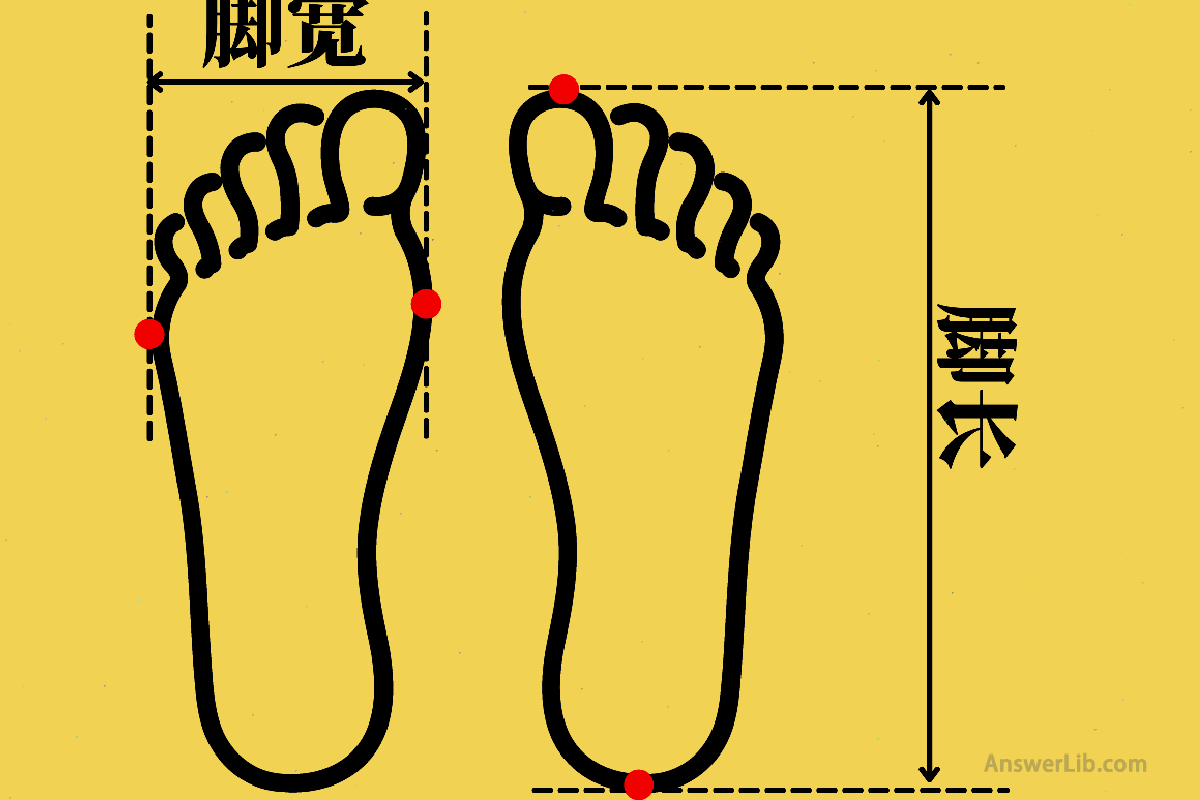 Poot size measurement method