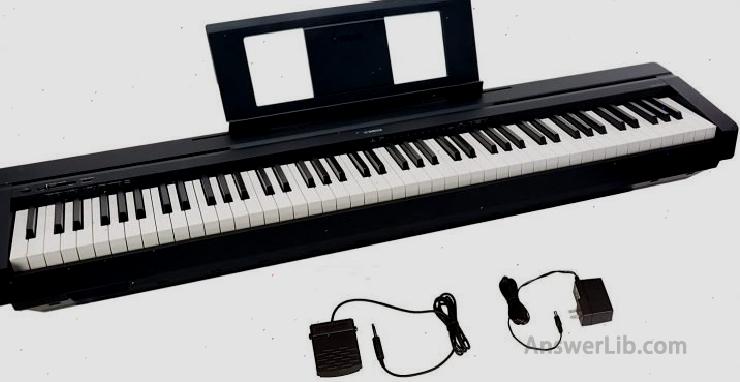 Best keys touch-sensitive bracket-type piano: YAMAHA P45, 88-Key Weight Action Digital Piano