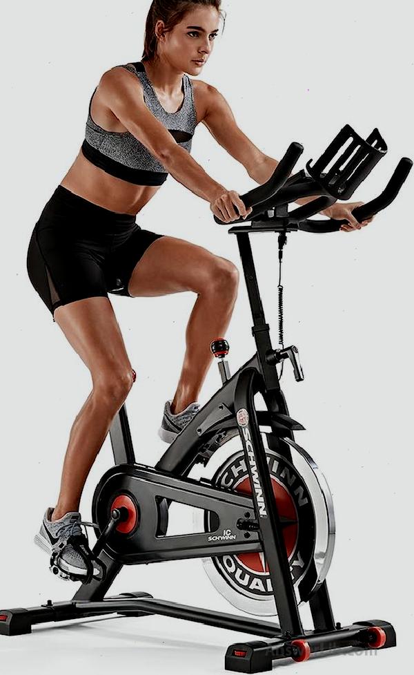 Schwinn Fitness Indoor Cycling Exercise Bike Series