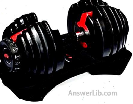 Bowflex SelectTech 552 Adjustable Dumbbell