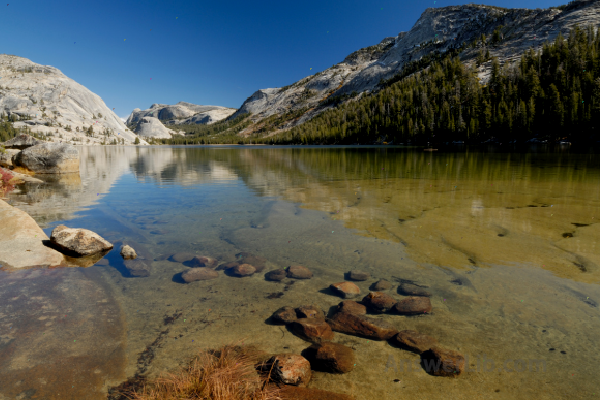 Tenaya Lake