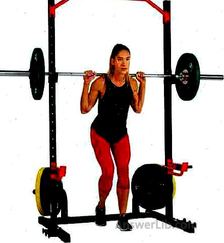 Best Introduction Squatting: Sunny Health & Fitness Power Zone Squat Stand Power Rack, Power Cage \\\\\\\\\\\\\\\\\\\\\\\\\\\\\\\\\\\\\\\\\\\\\\\\ n