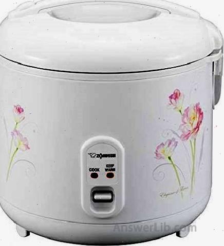 Zojirushi NS RPC18FJ Rice Cooker