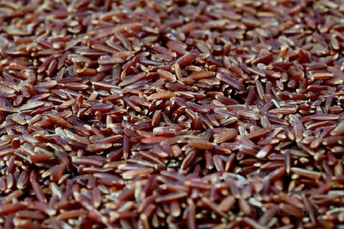 Red rice