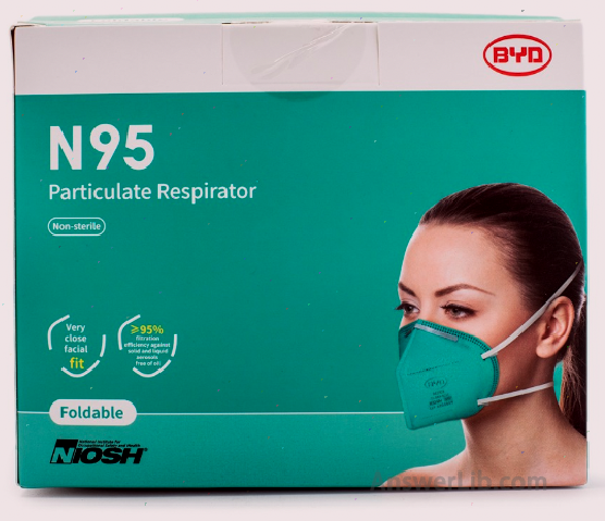 Byd N95 mask