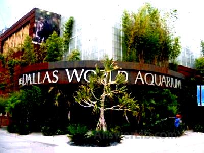 dallas world acquarium