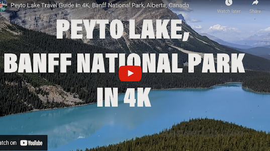 Peyto Lake Video