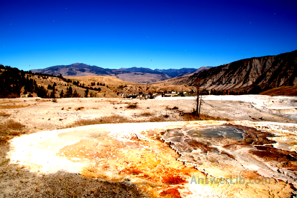 Mammoth Hot Springs