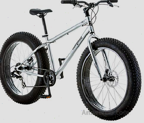 Mongoose Malus Fat Tire Bike 2