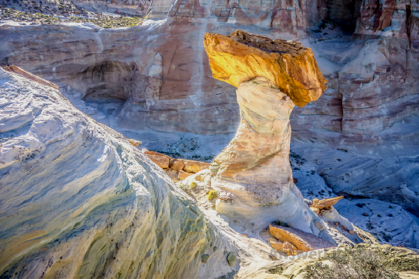 Todestool Hoodoos