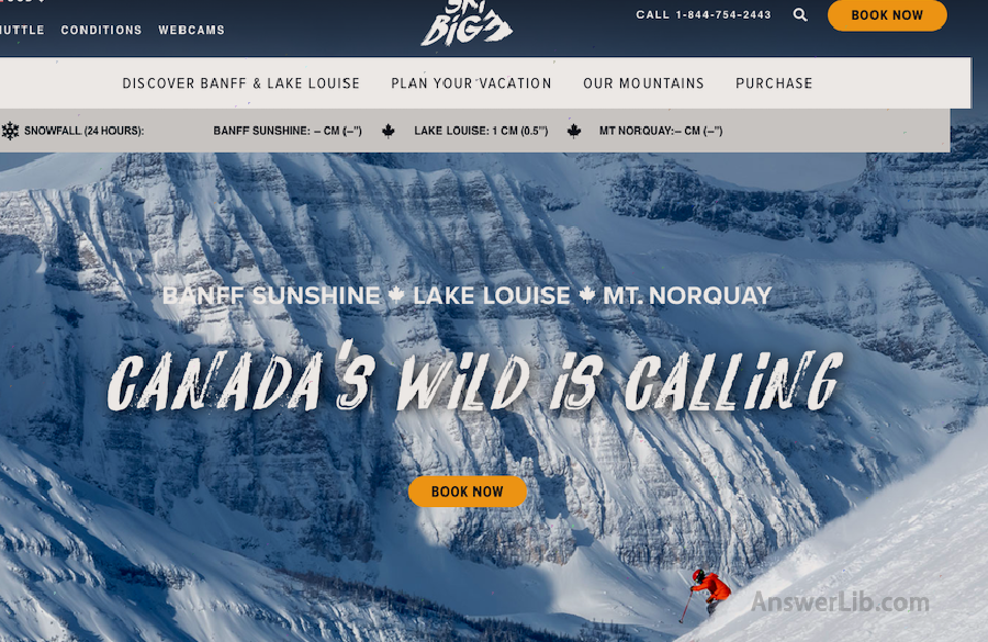 SkiBig3 Website