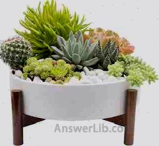 Joda 10 Inch Mid Century Round Succulent Planter with Stand