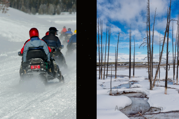 Winter in Yellowstone