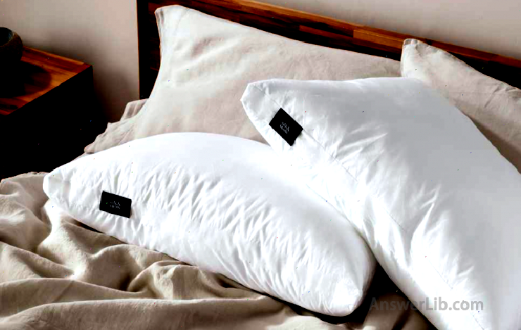 The best pillow: The Silk & Snow Pillow